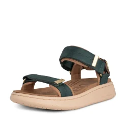 Women Woden Line - Deep Forest/Chocolate