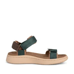 Women Woden Line - Deep Forest/Chocolate