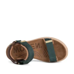Women Woden Line - Deep Forest/Chocolate