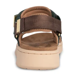 Women Woden Line - Deep Forest/Chocolate