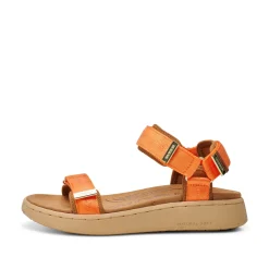 Women Woden Line - Tiger