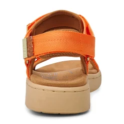 Women Woden Line - Tiger